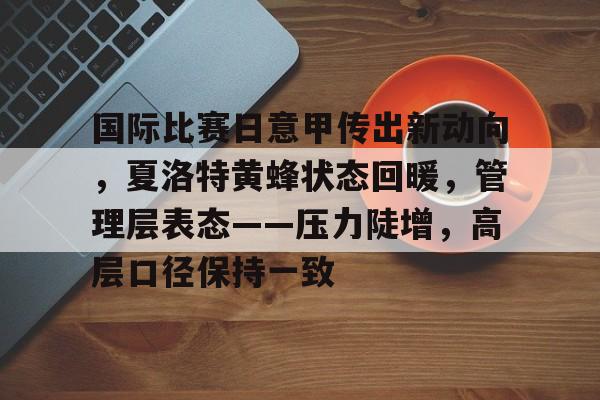 开云中国-国际比赛日意甲传出新动向，夏洛特黄蜂状态回暖，管理层表态——压力陡增，高层口径保持一致的简单介绍-开云中国